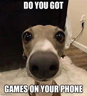 Image result for Dog On Phone Meme