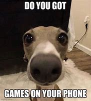 Image result for Animal Looking at Phone Meme