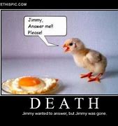 Image result for Funny Memes About Death