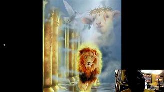 Image result for Yahawashi Lion