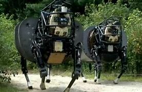 Image result for Luchador War Robots