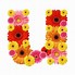 Image result for Small Letter U Magnets