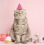 Image result for Cat Holding Cake