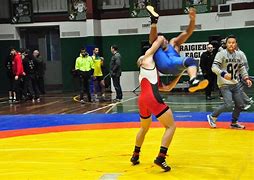 Image result for Professional Wrestling Throws