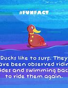 Image result for Amazing WTF Fun Facts