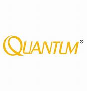 Image result for Quantum Star Logo