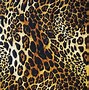 Image result for True Cheetah Print Background