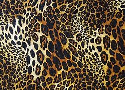 Image result for Cheetah Animal Print