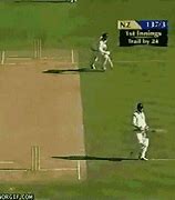 Image result for Cricket Court GIF