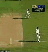 Image result for Cricket Bowling GIF