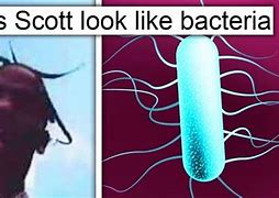 Image result for Evil Germs Meme