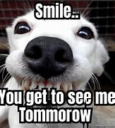 Image result for Funny Tomorrow Meme