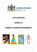 Image result for Life Science Grade 10 Notes