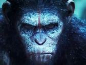 Image result for Planet of the Apes Meme No Statue