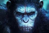 Image result for Zira Planet of the Apes