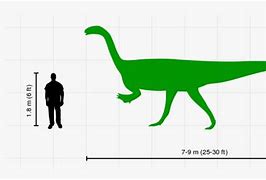 Image result for How Big Is 30 FT