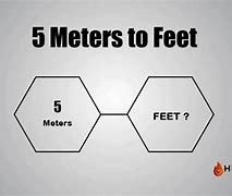 Image result for 5 Meters in Feet