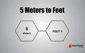 Image result for Five Meters in Feet