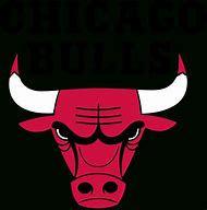 Image result for Chicago Bulls Logo HD