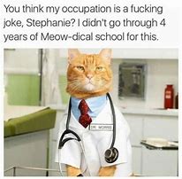 Image result for Funny Cat Vet Meme
