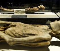 Image result for Mummies of the World Exhibition