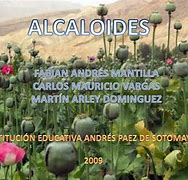 Image result for alcalodis