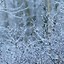 Image result for Snow and Water Background for iPhone
