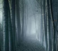 Image result for Empty Dark Forest Foggy