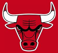 Image result for Chicago Bulls Skull