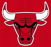 Image result for Custom Bulls Logo