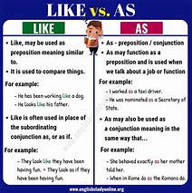 Image result for What Is a Difference Between
