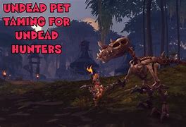 Image result for WoW Shadowlands Hunter Undead Pets