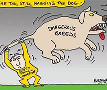 Image result for Tail Wagging the Dog Meme