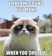 Image result for Cat Yelling Shut Up Meme