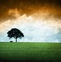 Image result for Colorful Wallpaper India