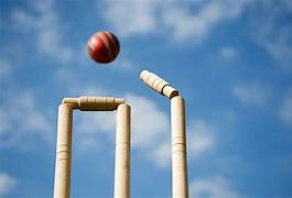 Image result for Bail Cricket