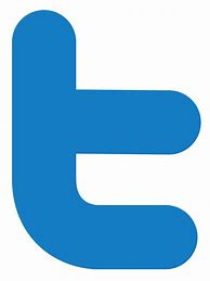 Image result for Twitter Logo Realistic