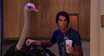 Image result for iCarly Spencer Meme Template