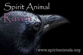 Image result for Raven-Spirit