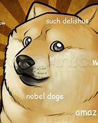Image result for Doge Meme Cartoon