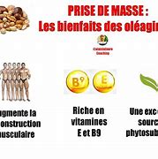 Image result for Les Fruits Oleagineux