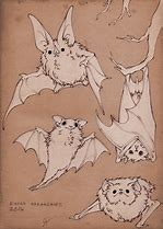 Image result for Bat Art Reference