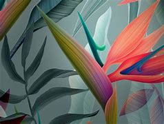 Image result for Abstract Flower Wallpaper