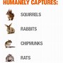 Image result for Home Depot Animal Traps