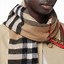 Image result for burberry check scarves