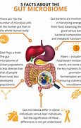 Image result for Gut Microbiome