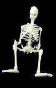 Image result for Skeleton On Bench Meme