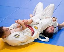 Image result for Brazilian Jiu Jitsu Kick