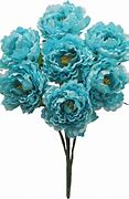 Image result for Cyan Color Flowers