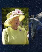 Image result for Queen Elizabeth ledger stone